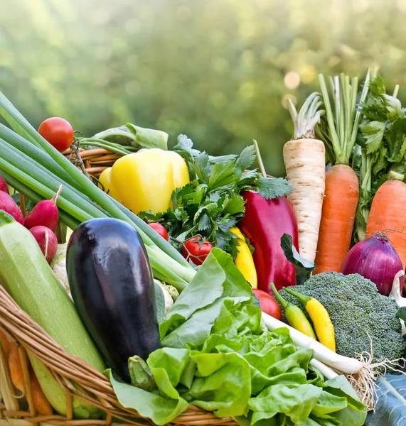 Produtos hortícolas biológicos frescos — Fotografia de Stock