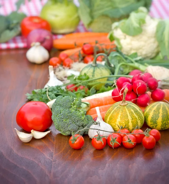 Färska ekologiska grönsaker på ett bord — Stockfoto