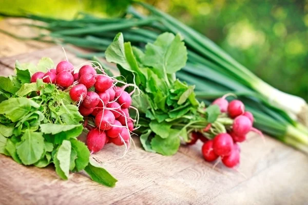 Organic spring radishes and spring onions — Stock Photo, Image