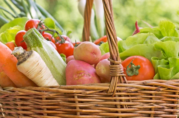 La cesta de mimbre está llena de verduras orgánicas — Foto de Stock