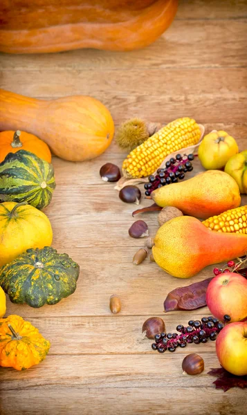 秋天的水果和蔬菜 — 图库照片