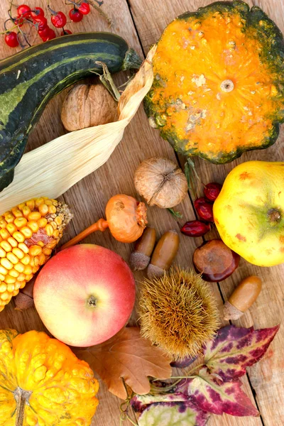 Autumn arrives with autumn harvest — Stock Photo, Image