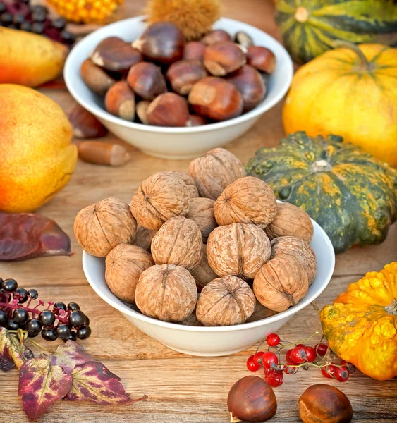 Autumn fruit - autumn harvest — Stock Photo, Image