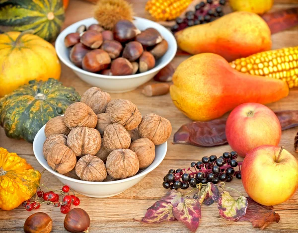 Frutas de outono - Colheita de outono — Fotografia de Stock