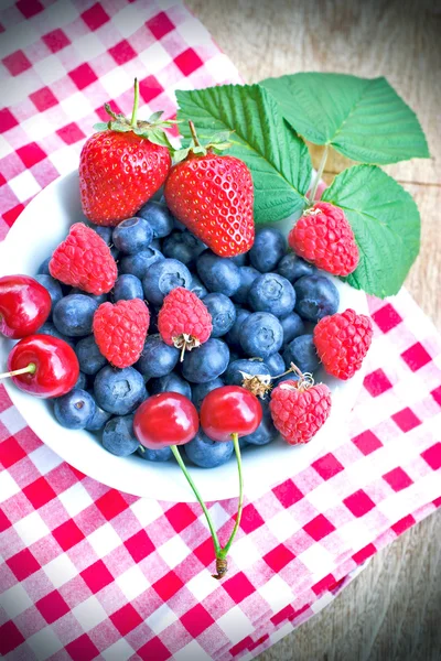 Verse organische bessen vruchten - sterke antioxidanten — Stockfoto