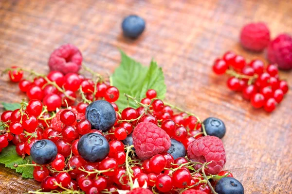 Antioxidantes fuertes - frutas de bayas — Foto de Stock