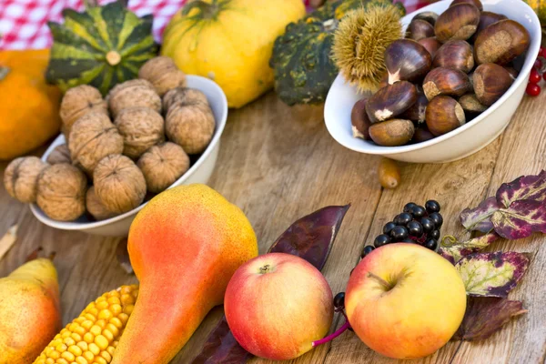 Autumn harvest — Stock Photo, Image