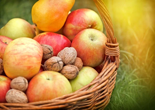 枝編み細工品バスケットの秋の果実 — ストック写真