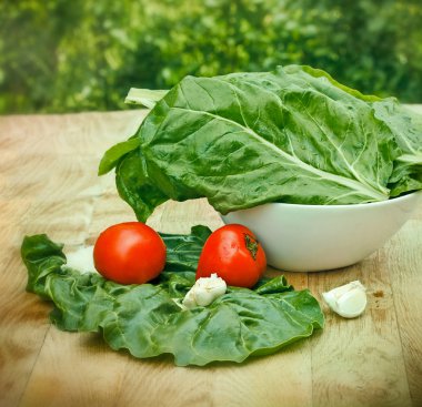 taze organik mangold - chard - ıspanak pancar