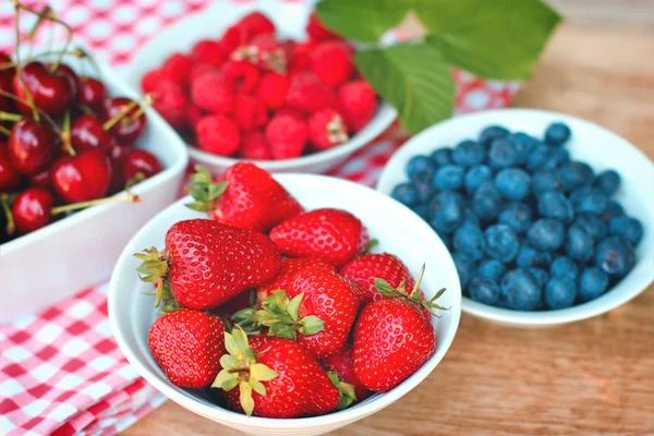 Fresh organic berry fruits - strong antioxidants — Stock Photo, Image