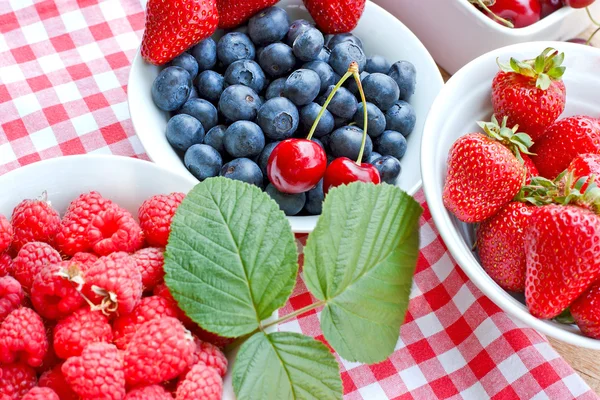 Verse organische bessen vruchten - sterke antioxidanten — Stockfoto