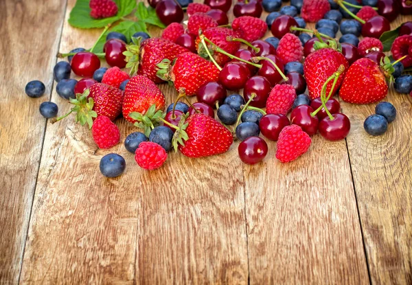 Frutos de bagas — Fotografia de Stock