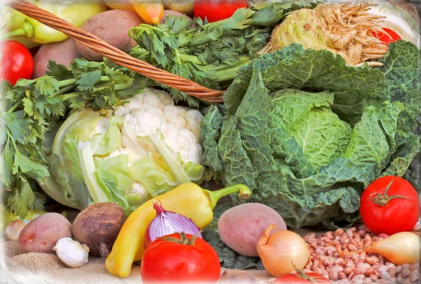 Органиовые овощи — стоковое фото