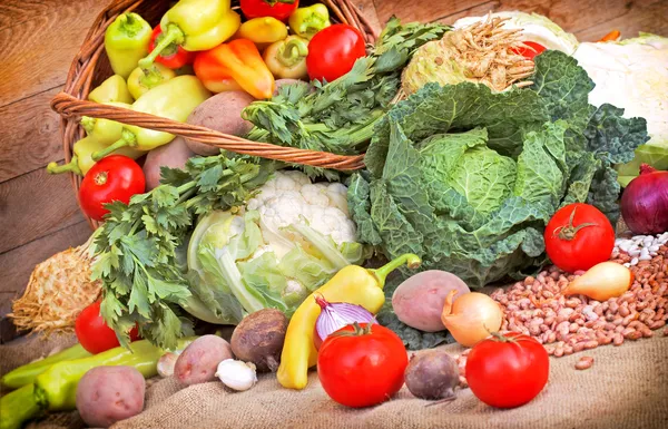 Fresh organioc vegetables — Stock Photo, Image