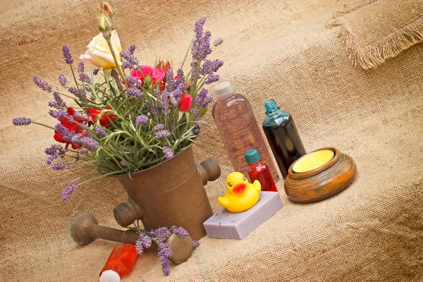 Spa treatment with natural ingredients — Stock Photo, Image