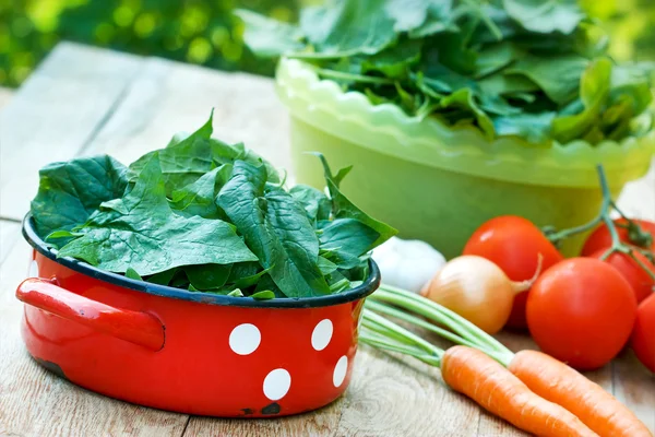 Alimento saludable - espinacas orgánicas — Foto de Stock