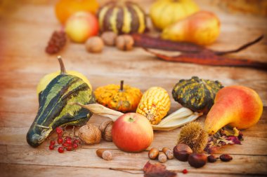 sonbahar meyve ve sebze - sonbaharda hasat