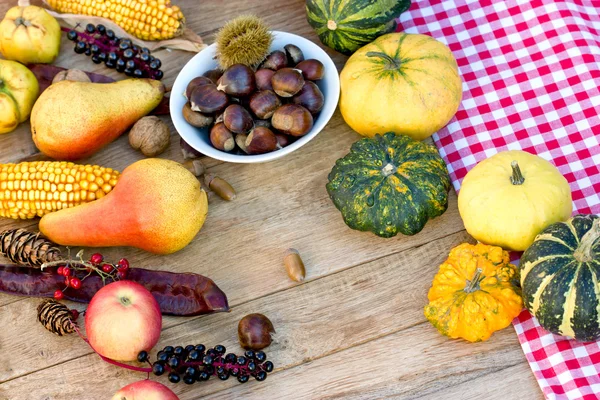 Frutas y hortalizas de otoño - cosecha de otoño —  Fotos de Stock
