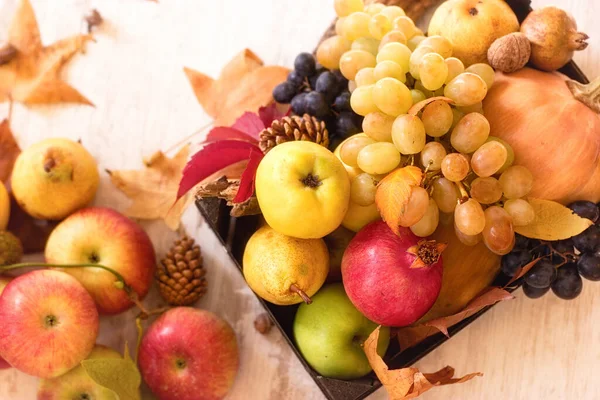 Herfst Oogst Biologisch Voedsel Krat Tafel Gezond Eten Als Preventieve — Stockfoto