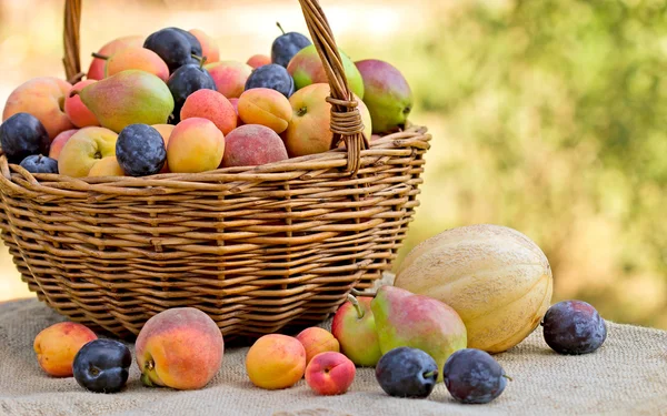 Плетеная корзина, полная органических фруктов — стоковое фото