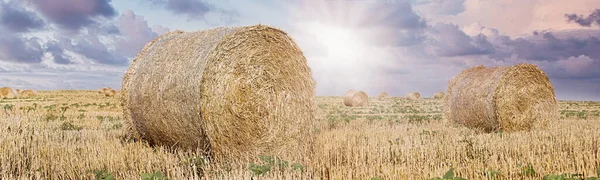 Beautiful Landscape Hay Bale Field Straw Rolls Wheat Farmer Field — Fotografia de Stock