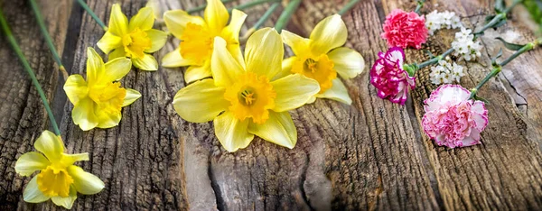 Narzissen Und Nelken Frühlingsblumen Auf Rustikalem Holzgrund — Stockfoto