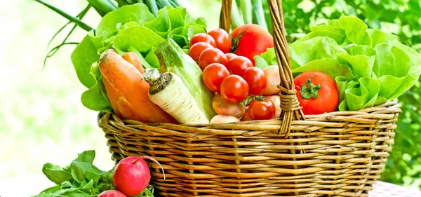 Nourriture Salée Végétarienne Légumes Frais Dans Panier — Photo