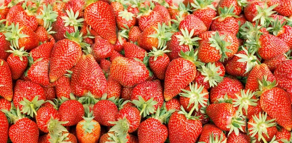 Fresh Organic Strawberries Market Bunch Juicy Delicious Fruit — Stock Photo, Image