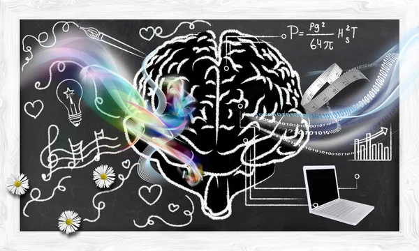 Skills for Right and Left Brain — Stock Photo, Image