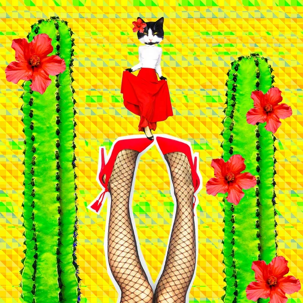 Minimal Contemporary Collage Zine Art Passion Kitty Cactus Vibrazioni Spagnole — Foto Stock