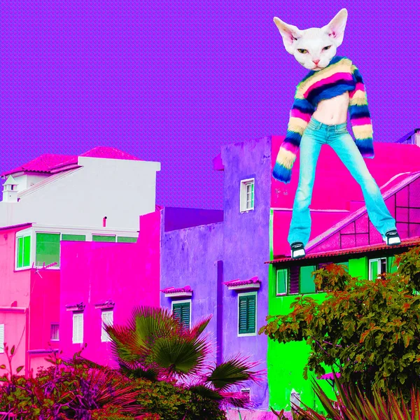 迪斯科星猫在五彩斑斓的城市空间 当代艺术拼贴 夜生活俱乐部的概念 — 图库照片