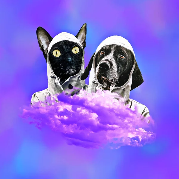 Hedendaagse Kunst Collage Grappig Trendy Zine Ontwerp Leuke Kitty Dog — Stockfoto