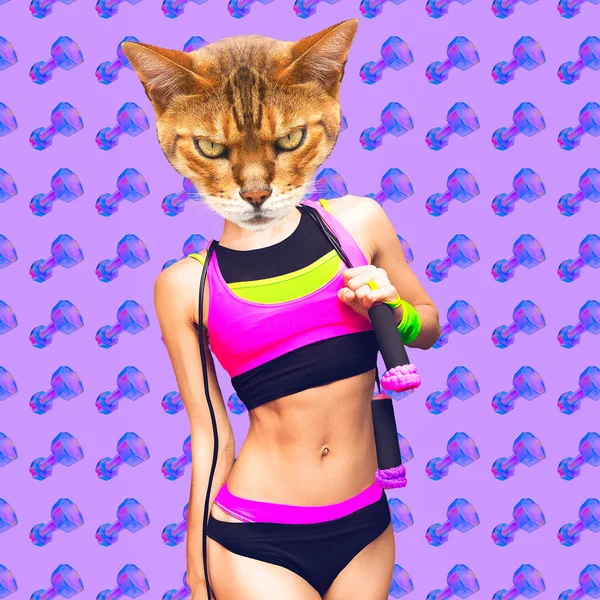Koláž Současného Umění Vtipný Design Zinu Fitness Kitty — Stock fotografie