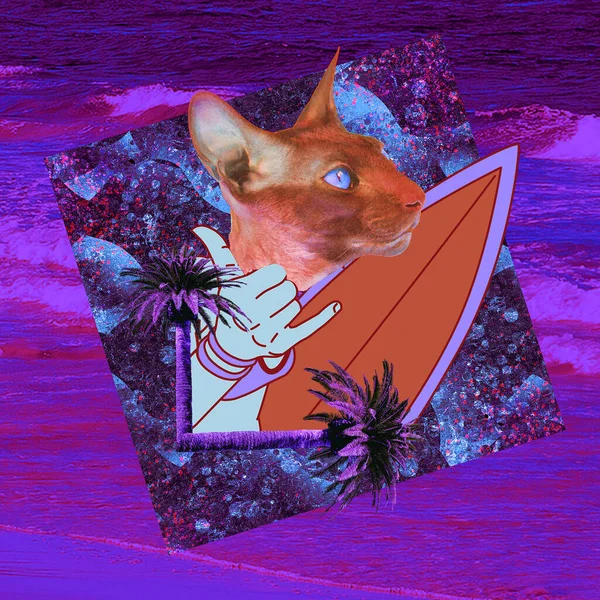 Kolaż Sztuki Współczesnej Zabawny Projekt Zine Surfer Hawajski Kot Ocean — Zdjęcie stockowe