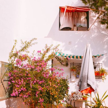 Tropical flowers and traditional architecture. Canary House.Travel, summer vacation concept