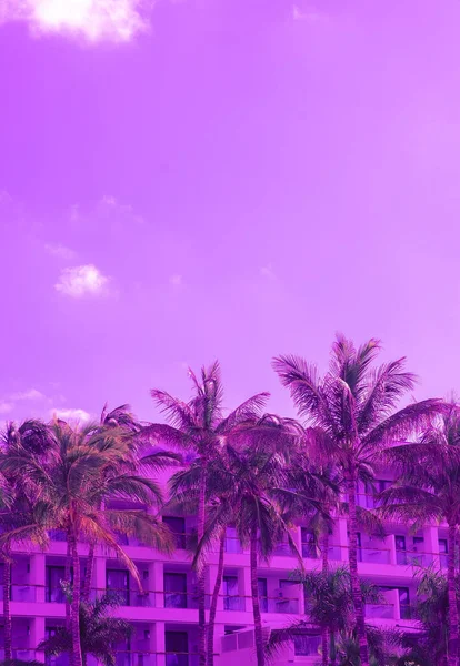 Stylish Purple Vacation Wallpaper Palm Resort Sky Creative Background Minimalist — Stock Photo, Image