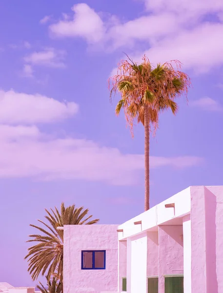 Tropische Palme Und Architektur Kanarische Inseln Reise Sommerurlaub Tapete — Stockfoto