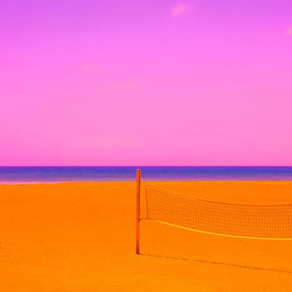 Cores Surreais Arte Verão Elegante Praia Voleibol Conceito Férias Viagem — Fotografia de Stock