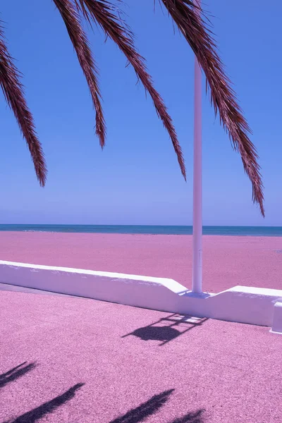 Palmeira Tropical Vista Para Mar Sombras Luz Solar Ilha Canária — Fotografia de Stock