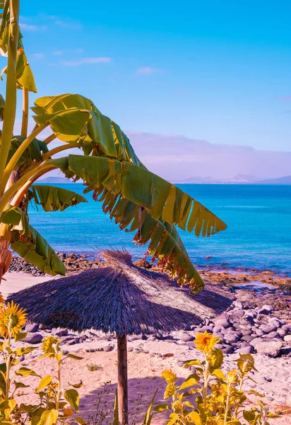 Plaj Şemsiyesi Okyanus Manzarası Mini Minimalist Plaj Duvar Kağıdı Seyahat — Stok fotoğraf