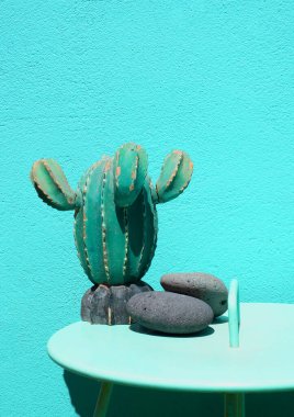 Mavi duvar arka planında kaktüs ev dekoru. Yaz tatili stil duvar kağıtları