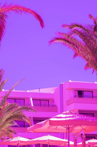 Fashion Travel Aesthetic Wallpaper Palm Hotel Creative Background Minimal Tropical — Stock Photo, Image