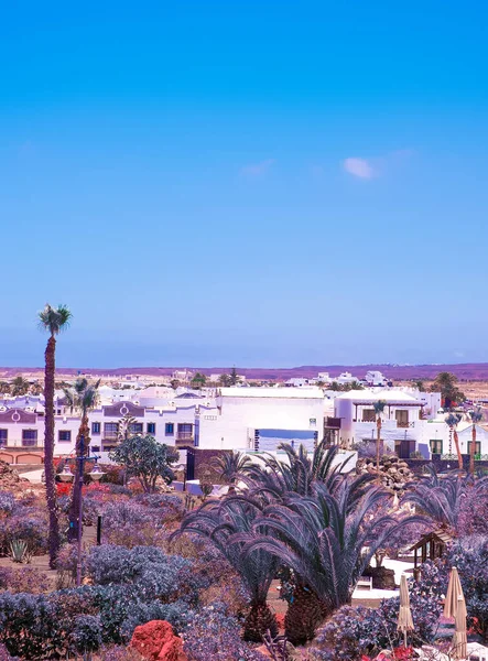 Reisen Ästhetische Tapete Tropische Pflanzen Und Architektur Kanarische Insel Lanzarote — Stockfoto