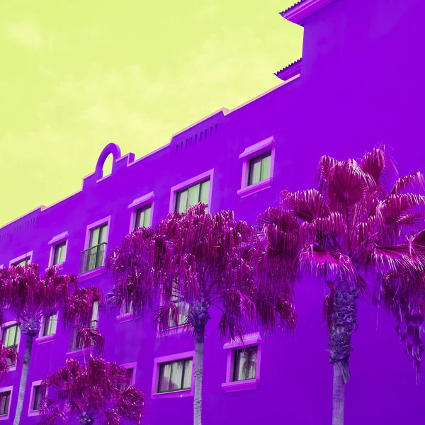 Creative Palm Wall House Общем Фоне Эстетическое Растение Канарский Остров — стоковое фото