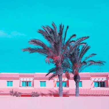 Geleneksel mimari ve tropikal palmiye. Ayrıntılarla seyahat et. Kanarya Adası