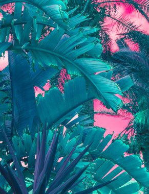 Yaratıcı palmiye ağacı geçmişi. Minimum çiçekli botanik estetik duvar kağıdı.