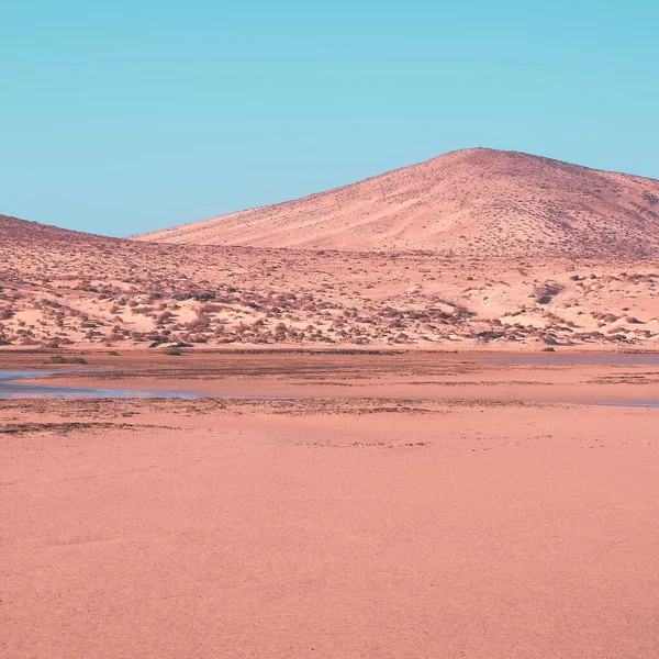 Gyönyörű Szürreális Táj Vulkánok Sivatag Utazási Koncepció Kanári Szigetek — Stock Fotó