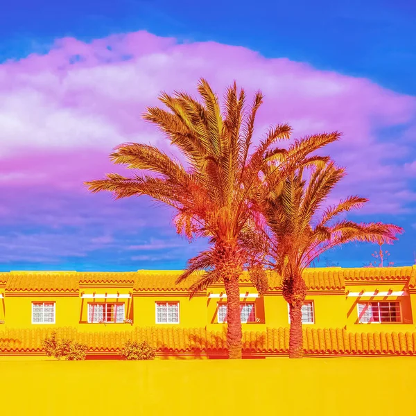 Traditionelle Architektur Und Tropische Palmen Reisen Detail Kanarische Insel — Stockfoto