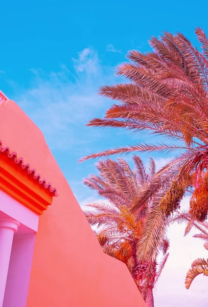 Traditional Architecture Tropical Palm Travel Details Canary Island — Stock Photo, Image