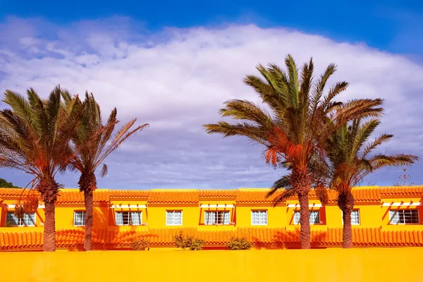Arquitectura Tradicional Palmera Tropical Viaja Detalles Islas Canarias Fotos De Stock